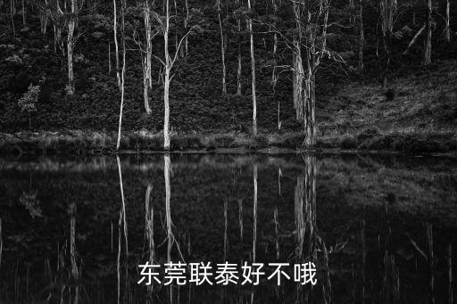 東莞聯泰好不哦