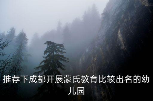 推薦下成都開(kāi)展蒙氏教育比較出名的幼兒園