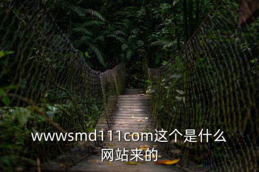 wwwsmd111com這個是什么網站來的