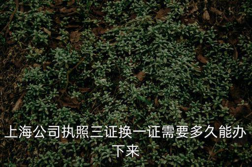上海公司執照三證換一證需要多久能辦下來