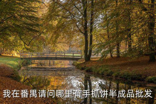我在番禺請問哪里有手抓餅半成品批發