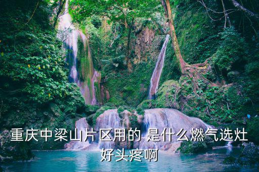 重慶中梁山片區(qū)用的 是什么燃?xì)膺x灶好頭疼啊