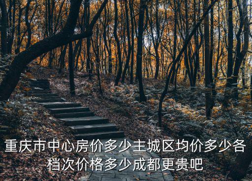 重慶市中央巡視回頭看反饋問題，巡視巡查回頭看重點是整治什么問題