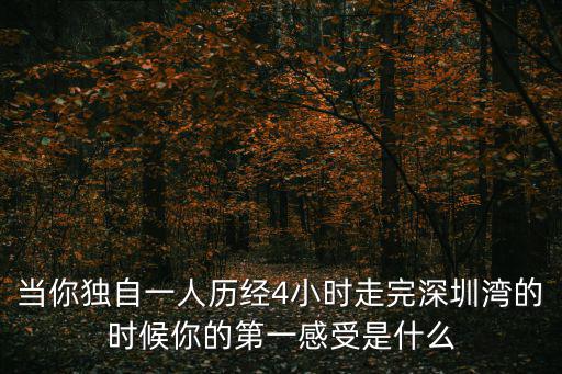 當(dāng)你獨自一人歷經(jīng)4小時走完深圳灣的時候你的第一感受是什么