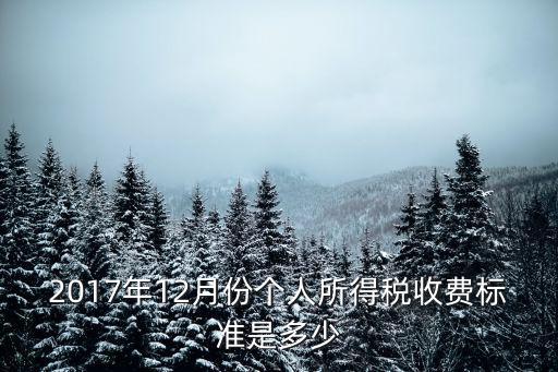 2017年12月份個人所得稅收費標準是多少