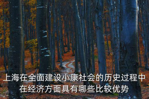 上海在全面建設(shè)小康社會(huì)的歷史過(guò)程中在經(jīng)濟(jì)方面具有哪些比較優(yōu)勢(shì)