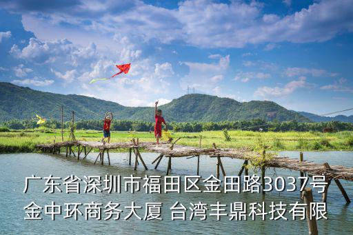 廣東省深圳市福田區金田路3037號金中環商務大廈 臺灣豐鼎科技有限