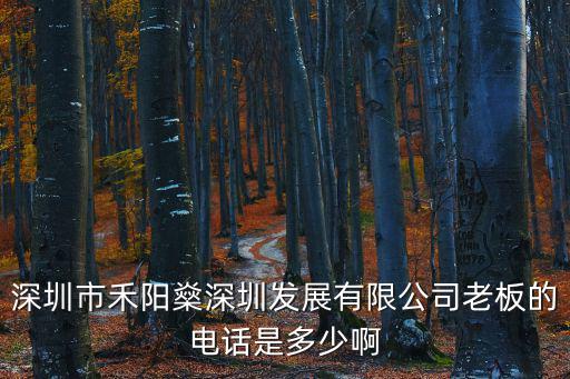 深圳市禾陽燊深圳發展有限公司老板的電話是多少啊