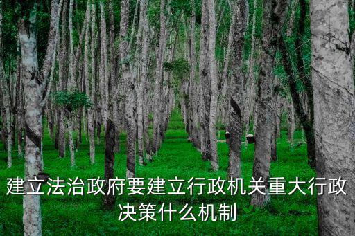 建立法治政府要建立行政機關重大行政決策什么機制