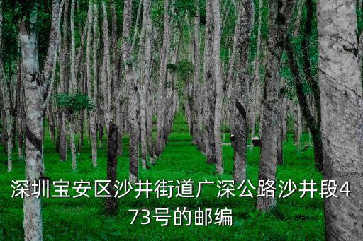 深圳市寶安區沙井街道鄒苑均，鴻展光電有限公司在哪啊