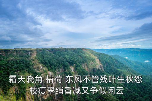 霜天曉角 枯荷 東風不管殘葉生秋怨 枝瘦翠綃香減又爭似閑云