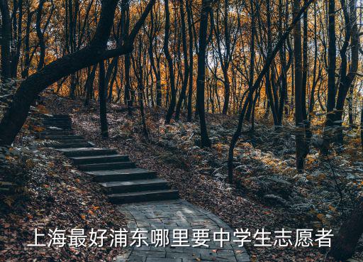 上海最好浦東哪里要中學生志愿者