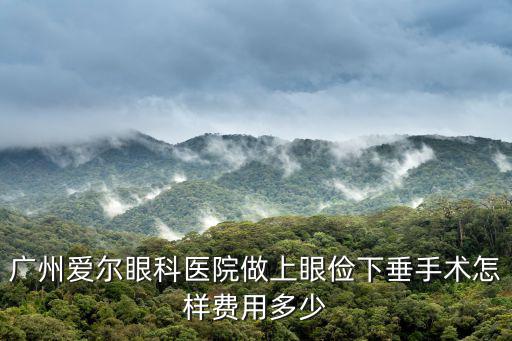 廣州愛爾眼科醫(yī)院做上眼儉下垂手術(shù)怎樣費(fèi)用多少