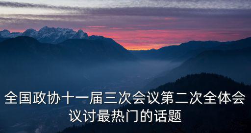 全國政協十一屆三次會議第二次全體會議討最熱門的話題