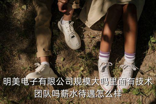 明美電子有限公司規(guī)模大嗎里面有技術(shù)團(tuán)隊(duì)嗎薪水待遇怎么樣