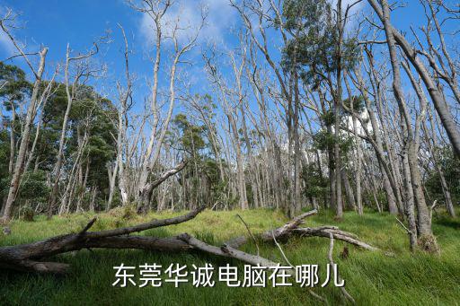 東莞華誠(chéng)電腦在哪兒