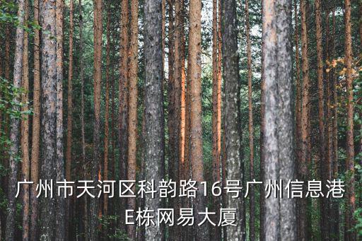 廣州市天河區(qū)科韻路16號廣州信息港E棟網(wǎng)易大廈