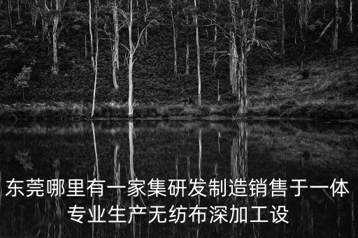 東莞哪里有一家集研發(fā)制造銷售于一體專業(yè)生產(chǎn)無(wú)紡布深加工設(shè)