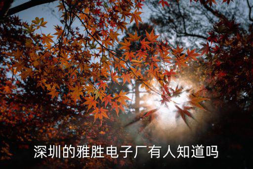 深圳雅利佳電子，在深圳那里有最便宜的電子產(chǎn)品批發(fā)