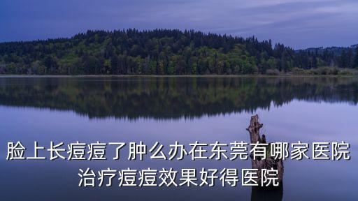 臉上長痘痘了腫么辦在東莞有哪家醫(yī)院治療痘痘效果好得醫(yī)院