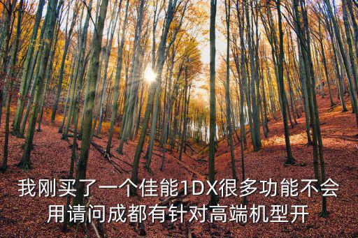我剛買(mǎi)了一個(gè)佳能1DX很多功能不會(huì)用請(qǐng)問(wèn)成都有針對(duì)高端機(jī)型開(kāi)