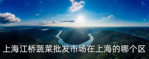 上海江橋蔬菜批發(fā)市場在上海的哪個區(qū)