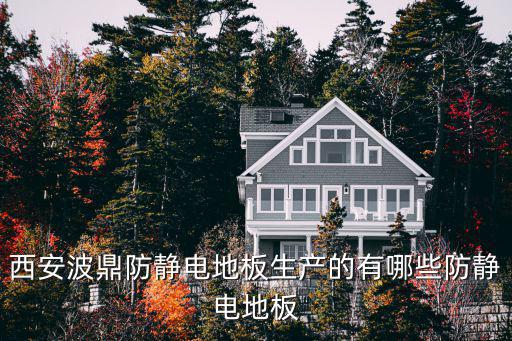 西安波鼎防靜電地板生產(chǎn)的有哪些防靜電地板