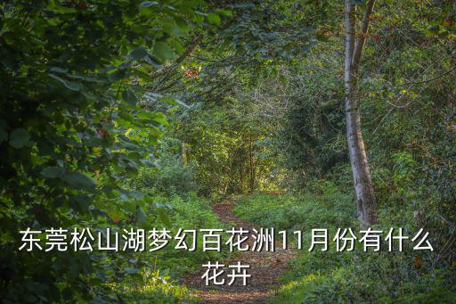 東莞松山湖夢(mèng)幻百花洲11月份有什么花卉