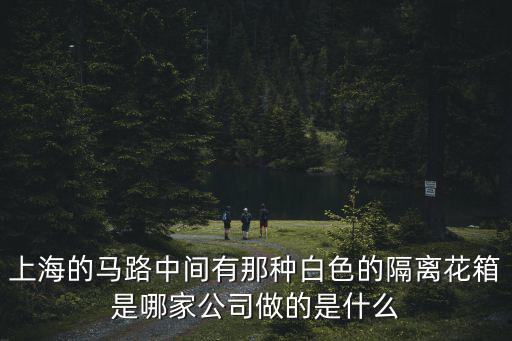 上海的馬路中間有那種白色的隔離花箱是哪家公司做的是什么
