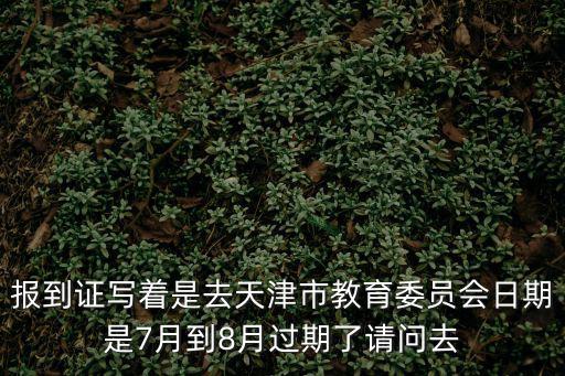天津市教育委員會中學(xué)教育處，天津市教委人才地址