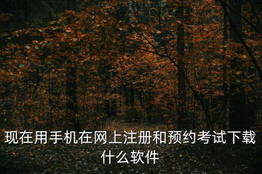 現在用手機在網上注冊和預約考試下載什么軟件