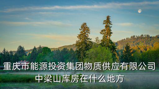 重慶市能源投資集團(tuán)物質(zhì)供應(yīng)有限公司中梁山庫(kù)房在什么地方