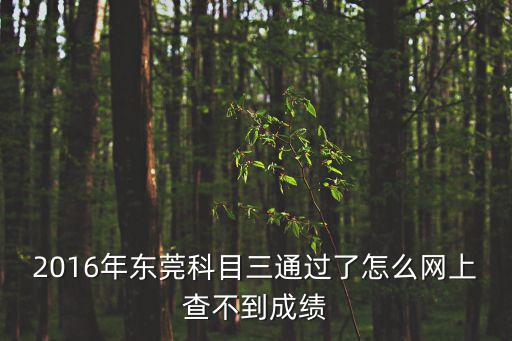 東莞交警科目三考試視頻，請(qǐng)問你后面怎么解決的我也是快考科目三了練了一下私家車被交警
