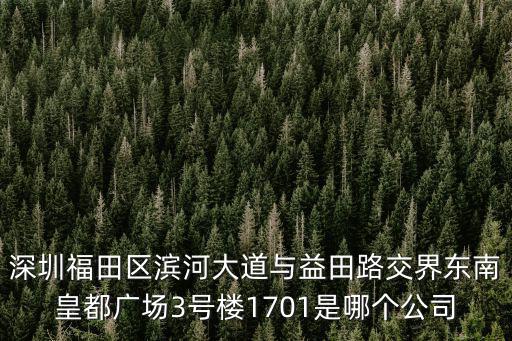 深圳福田區濱河大道與益田路交界東南皇都廣場3號樓1701是哪個公司