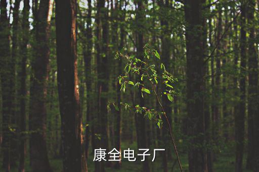 深圳域全科技有限公司，玩轉(zhuǎn)深圳手機客戶端的公司名稱叫什么
