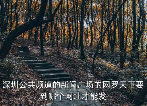 深圳公共頻道的新聞廣場的網羅天下要到哪個網址才能發