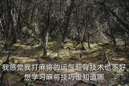 我感覺我打麻將的運(yùn)氣超背技術(shù)也不好想學(xué)習(xí)麻將技巧誰知道哪
