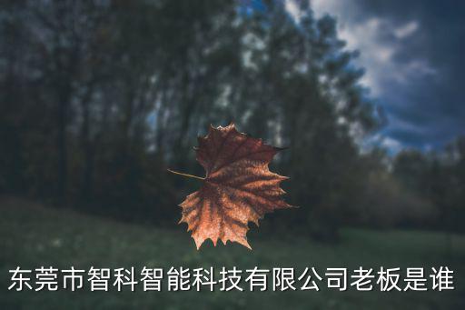 東莞市智科智能科技有限公司老板是誰
