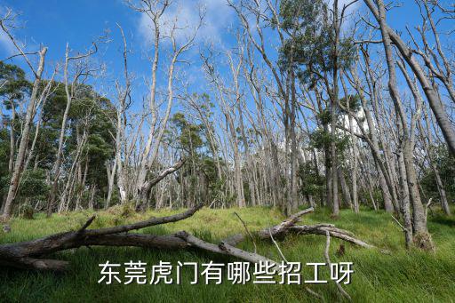 東莞虎門(mén)有哪些招工呀