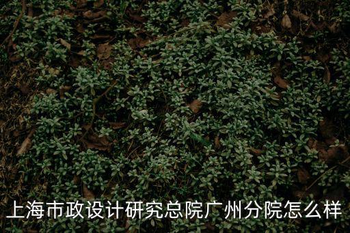 上海市政院廣州分院，廣州什么醫院割雙眼皮最專業