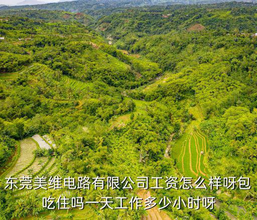 東莞美維電路有限公司工資怎么樣呀包吃住嗎一天工作多少小時呀