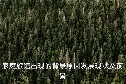 家庭旅館出現的背景原因發展現狀及前景