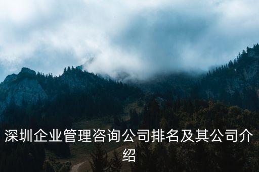 深圳善道企業(yè)管理咨詢有限公司，深圳企業(yè)管理咨詢公司有哪些