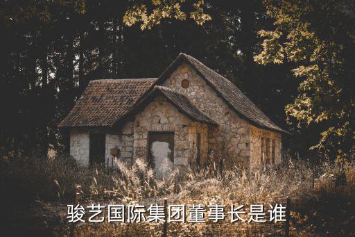 駿藝國際集團董事長是誰