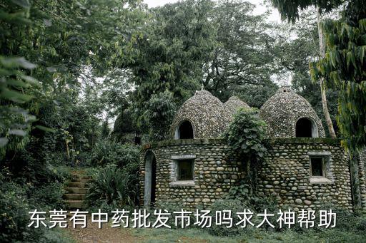 東莞有中藥批發(fā)市場嗎求大神幫助