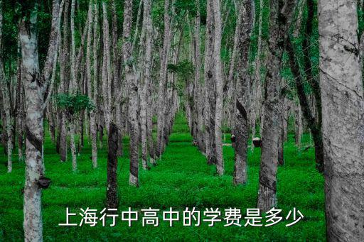 上海行中高中的學費是多少