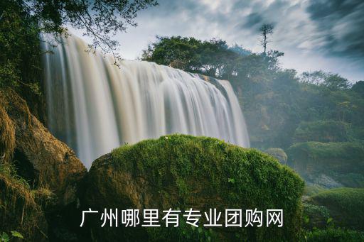 廣州哪里有專業團購網