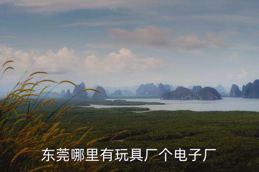 東莞哪里有玩具廠個電子廠