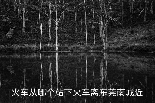 火車(chē)從哪個(gè)站下火車(chē)離東莞南城近