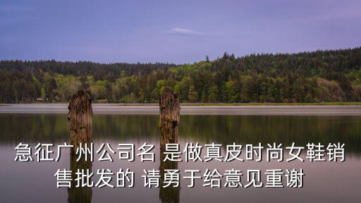 廣州偉路貿(mào)易有限公司，廣州市天河區(qū)建中路5號(hào)海天樓12011202是什么公司